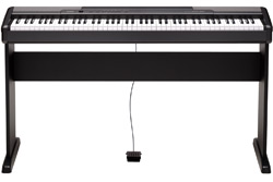 Compact Digital Pianos - Product Archive | CDP-100