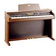 CELVIANO Pianos numériques - Archive de Produits | AP-80R
