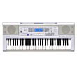 Standard Keyboards - Archivo de Productos | CTK-810